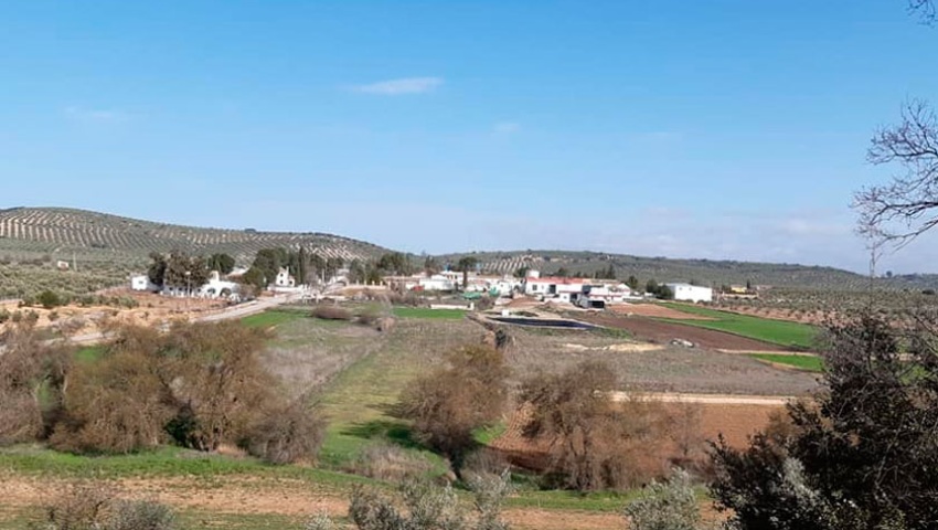 Imagen del bloque número 