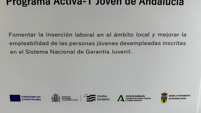 placa placa